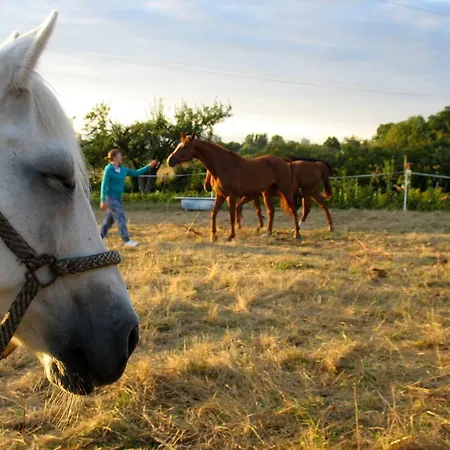 Stajni Jazon Appartement *