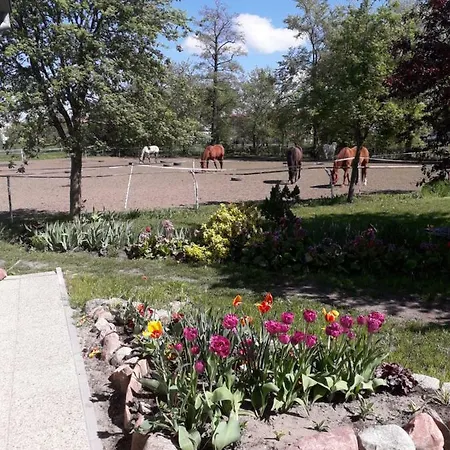 Stajni Jazon アパート