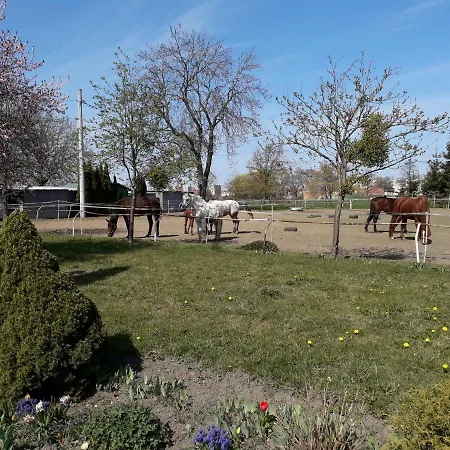 Stajni Jazon * Malbork
