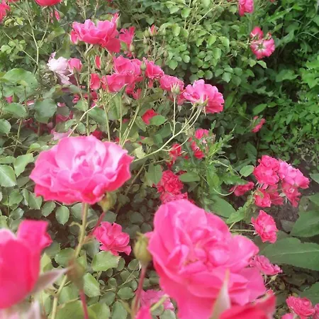 Appartement Stajni Jazon *