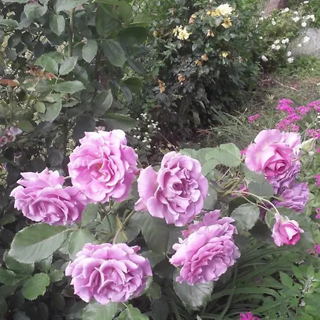 Appartement Stajni Jazon *