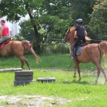 アパート Stajni Jazon マルボルク