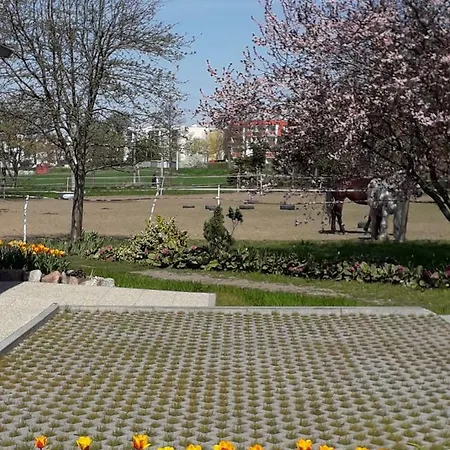 Appartement Stajni Jazon *