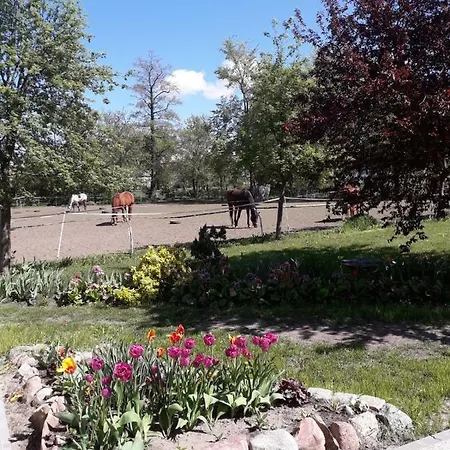 Stajni Jazon Appartement