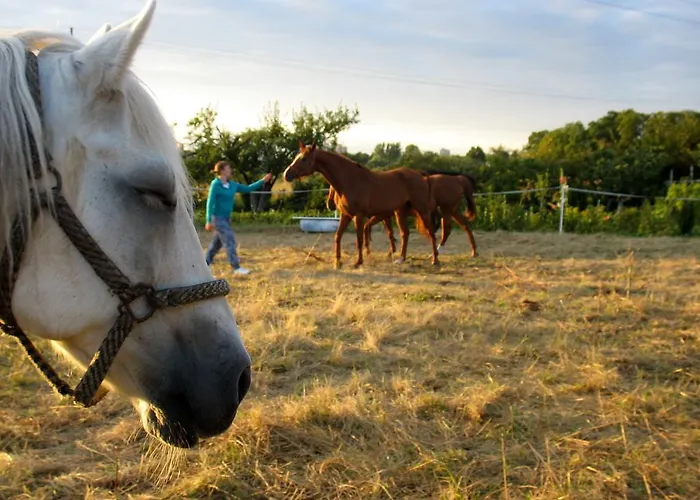 Stajni Jazon Apartament *