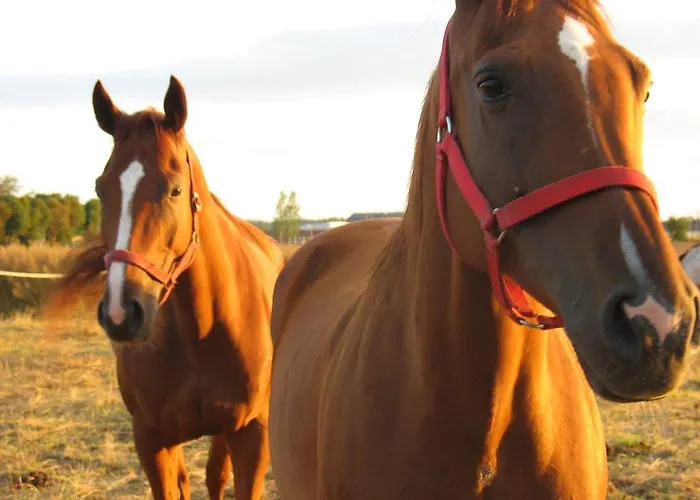 Lägenhet Stajni Jazon