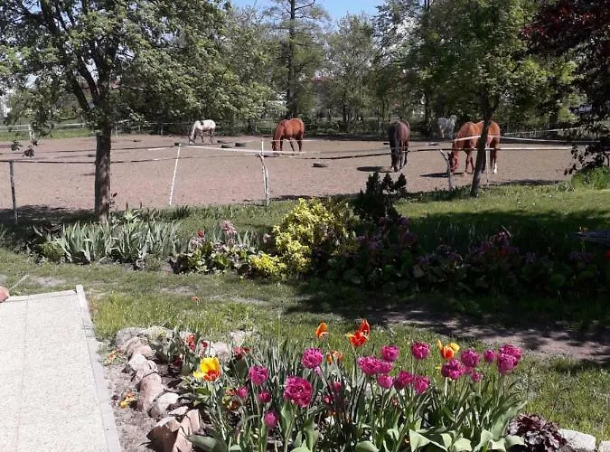 Stajni Jazon Lägenhet