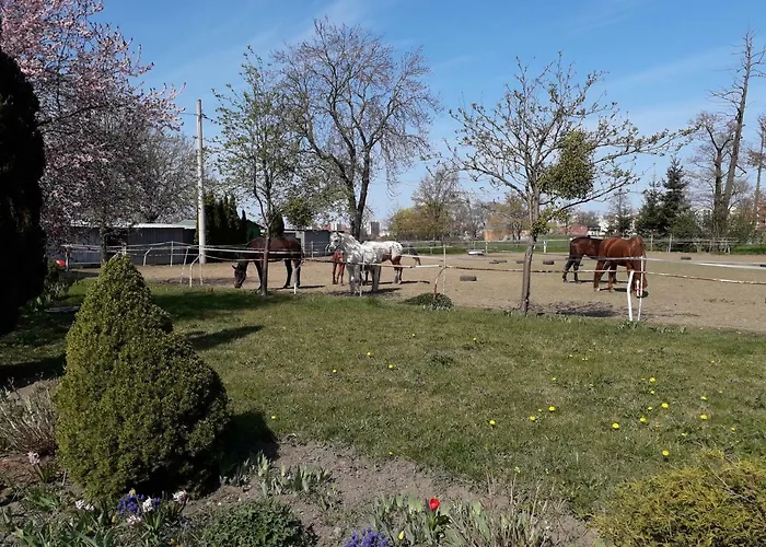 Stajni Jazon * Malbork