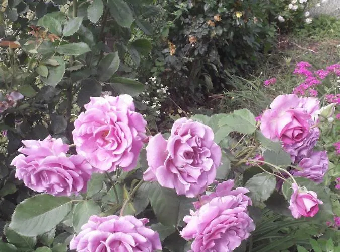 Lägenhet Stajni Jazon *