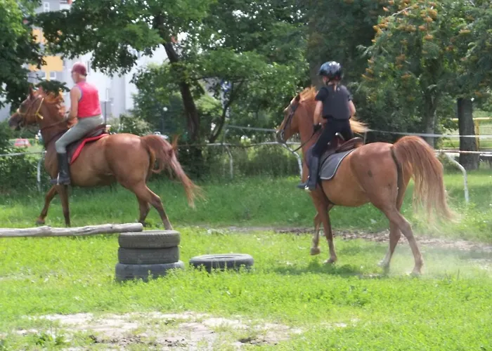 Lägenhet Stajni Jazon Malbork