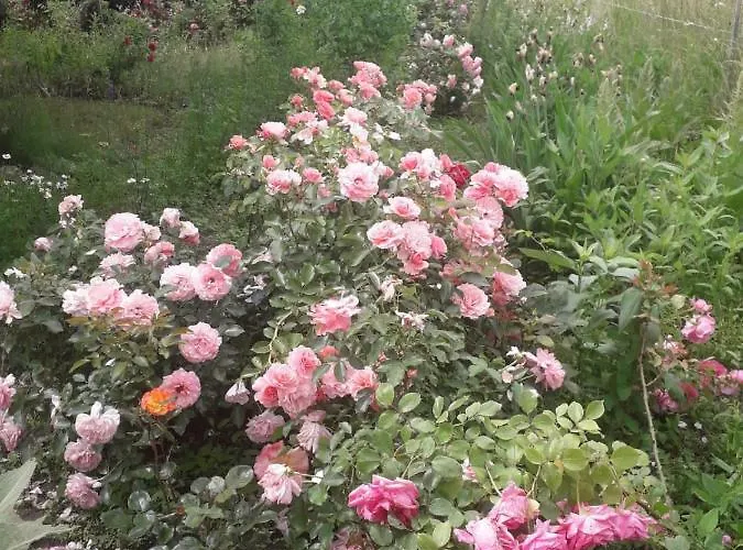 Stajni Jazon Lägenhet