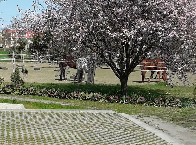 Stajni Jazon Malbork