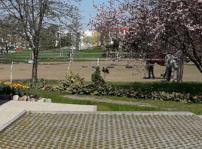 Apartament Stajni Jazon *