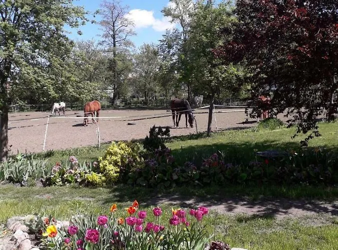 Stajni Jazon Apartament